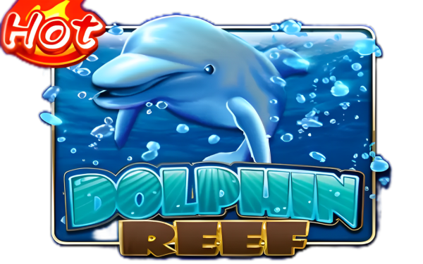 Dolphin Reef